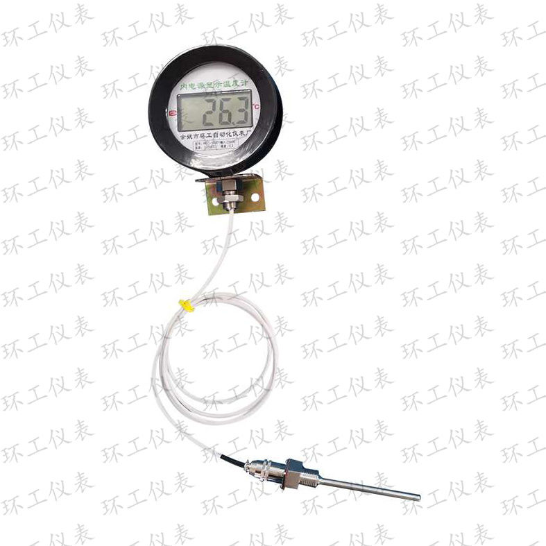 內(nèi)電源溫度計